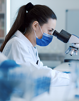 Les cursus interdisciplinaires