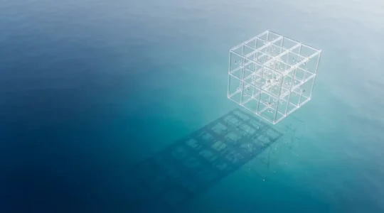 Visualisation de nanoparticules lumineuses capturant des biomarqueurs dans un environnement moléculaire complexe