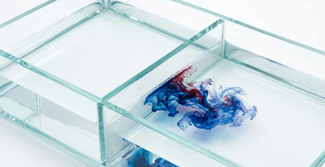 Représentation du passage d'un nanovecteur à travers la barrière hémato-encéphalique